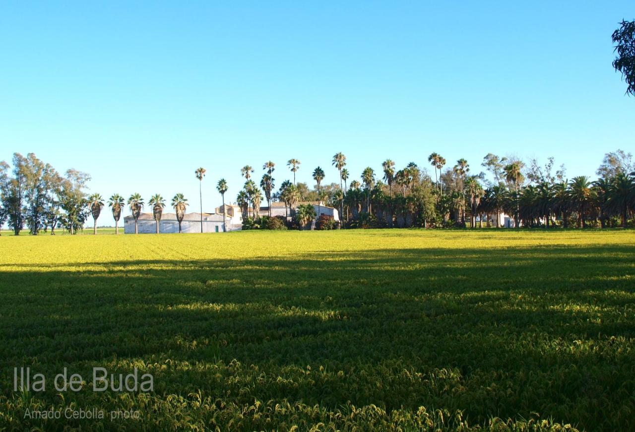 Villa Paquita - Delta De L'Ebre Deltebre Ngoại thất bức ảnh