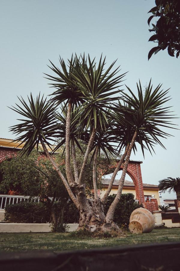 Villa Paquita - Delta De L'Ebre Deltebre Ngoại thất bức ảnh