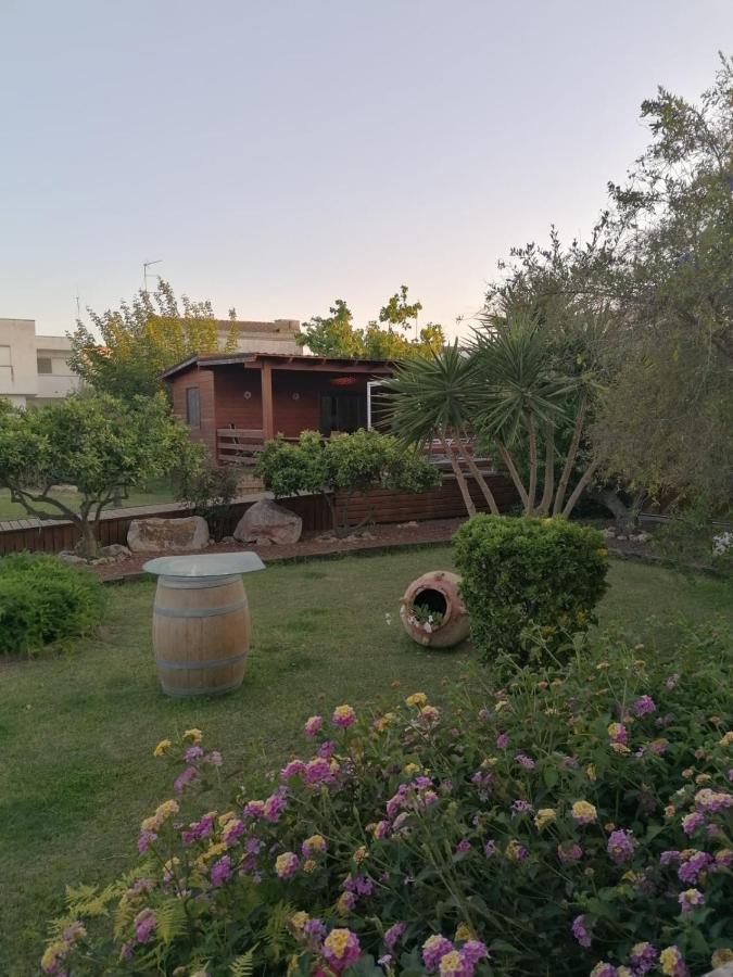 Villa Paquita - Delta De L'Ebre Deltebre Ngoại thất bức ảnh